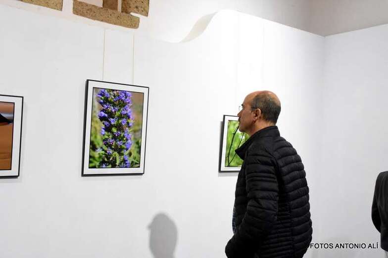 La muestra fue inaugurada anoche (Foto Antonio Alí)